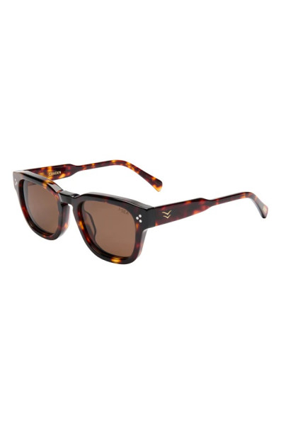 I-sea Camden : Tort / Brown Polarized Lens