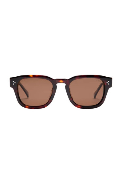 I-sea Camden : Tort / Brown Polarized Lens