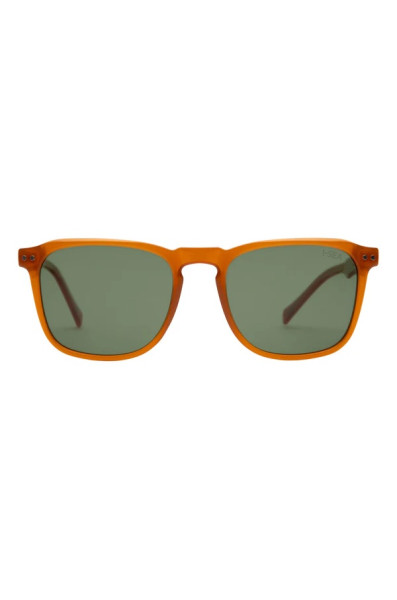 I-sea Cove : Kelp / Brown Polarized