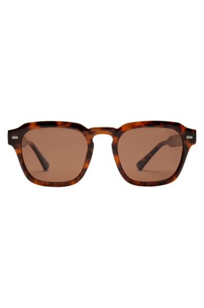 I-sea Hudson: Tort / Brown Polarized Lens