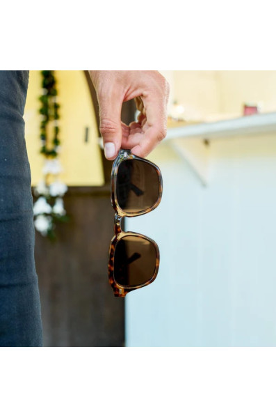 I-sea Hudson: Tort / Brown Polarized Lens