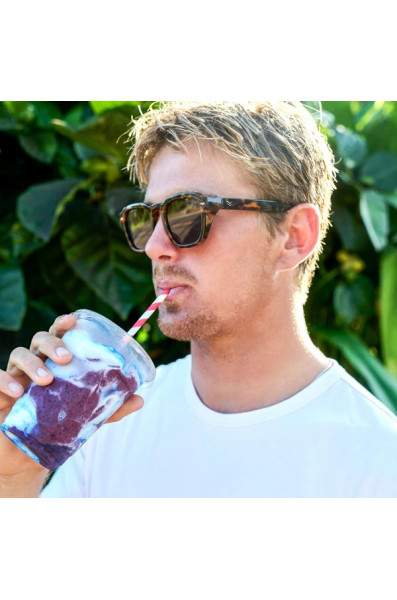 I-sea Hudson: Tort / Brown Polarized Lens