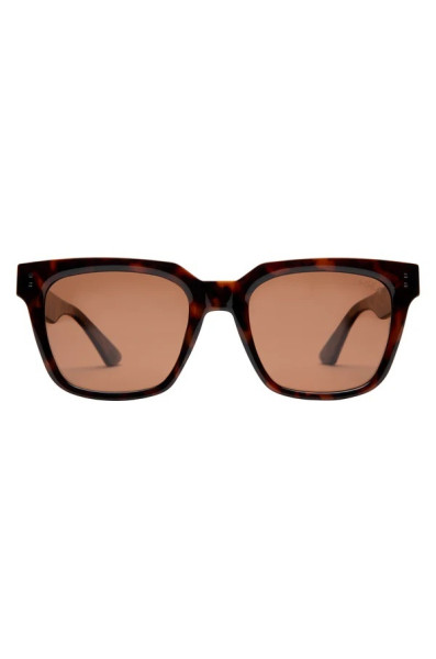 I-sea James : Tort / Brown Polarized Lens