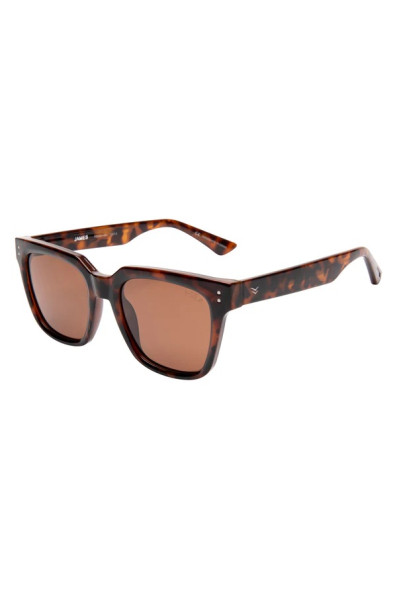 I-sea James : Tort / Brown Polarized Lens