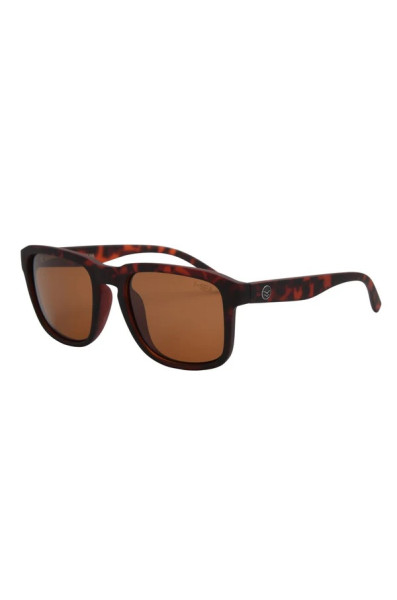 I-sea Logan : Tort / Brown Polarized Lens