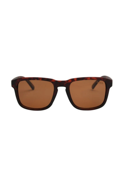 I-sea Logan : Tort / Brown Polarized Lens