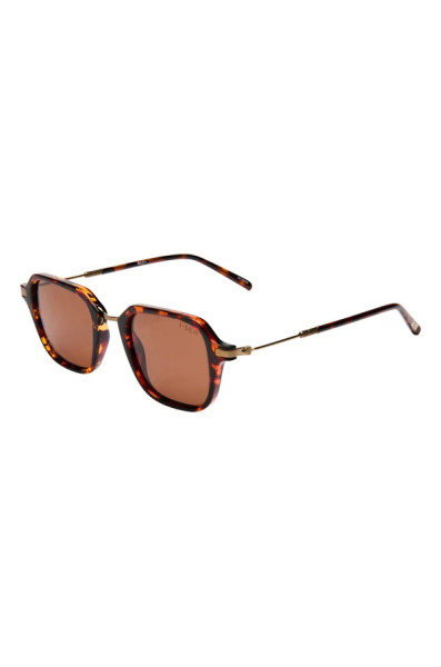 I-sea Riley : Tort / Brown Polarized Lens